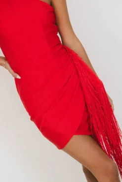 Bohme Audria Fringe Mini Dress in