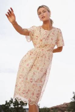 Bohme Renee Eyelet Lace Dress