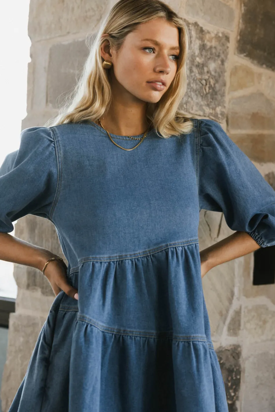 Bohme Sorrel Denim Mini Dress